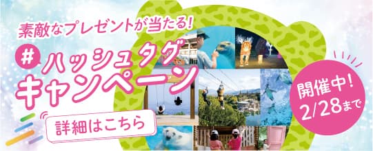 とべもり＋（プラス）に行けば、心も体も、動き出す！ 抽選でプレゼントが当たる！ハッシュタグキャンペーン開催！