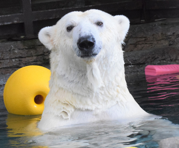 愛媛県立とべ動物園