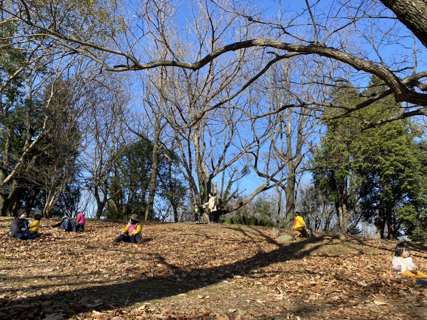 ＜参加者募集＞運動公園を探検しよう！森のようちえん　みきゃんっ子