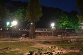 夜の動物園