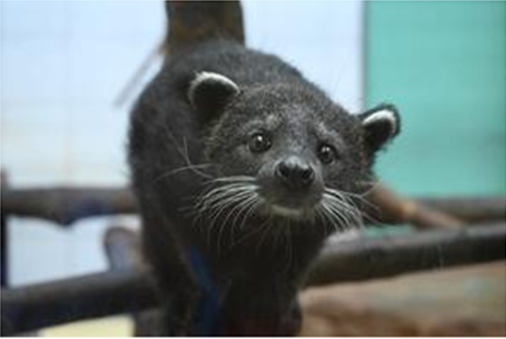 第35回とべ動物園動物画コンクール