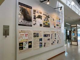 ツシマヤマネコ普及啓発 パネル展