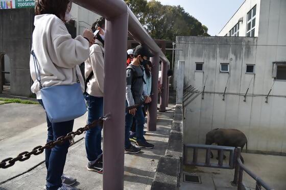 休園日の特別な動物園 TOkuBEZOO