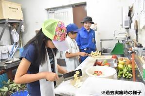 第34回とべ動物園サマースクールの参加者募集