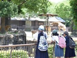 第13回とべ動物園写真コンクール