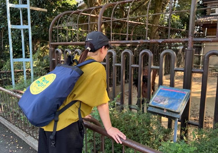 1時間あったら『ちょいとべ』しない？短時間でも楽しめる！とべ動物園