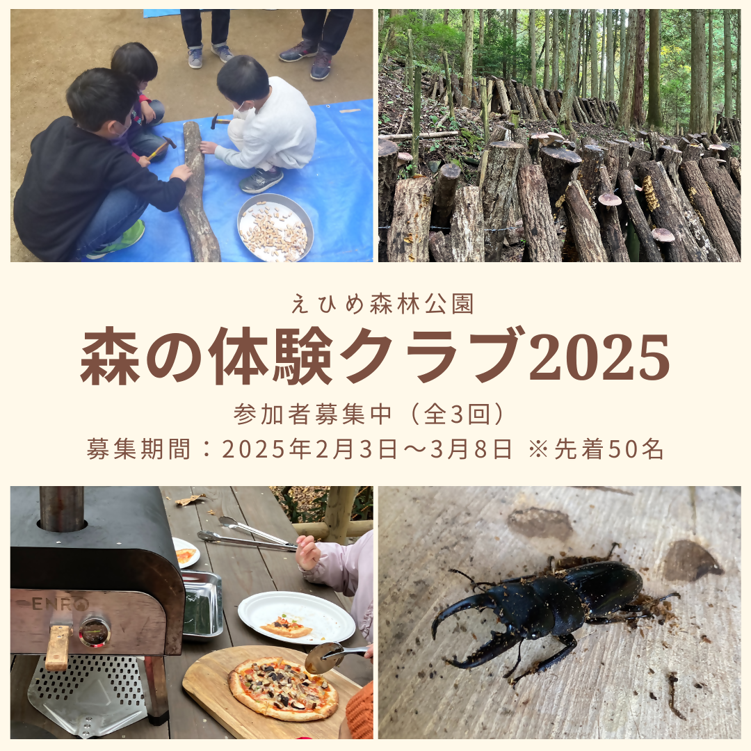 【事前募集】森の体験クラブ2025「原木椎茸栽培・試食体験教室」