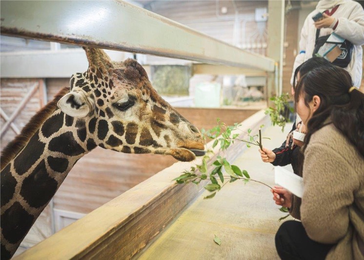 【とべ動物園】生物多様性を学び、 バックヤード見学体験プログラム