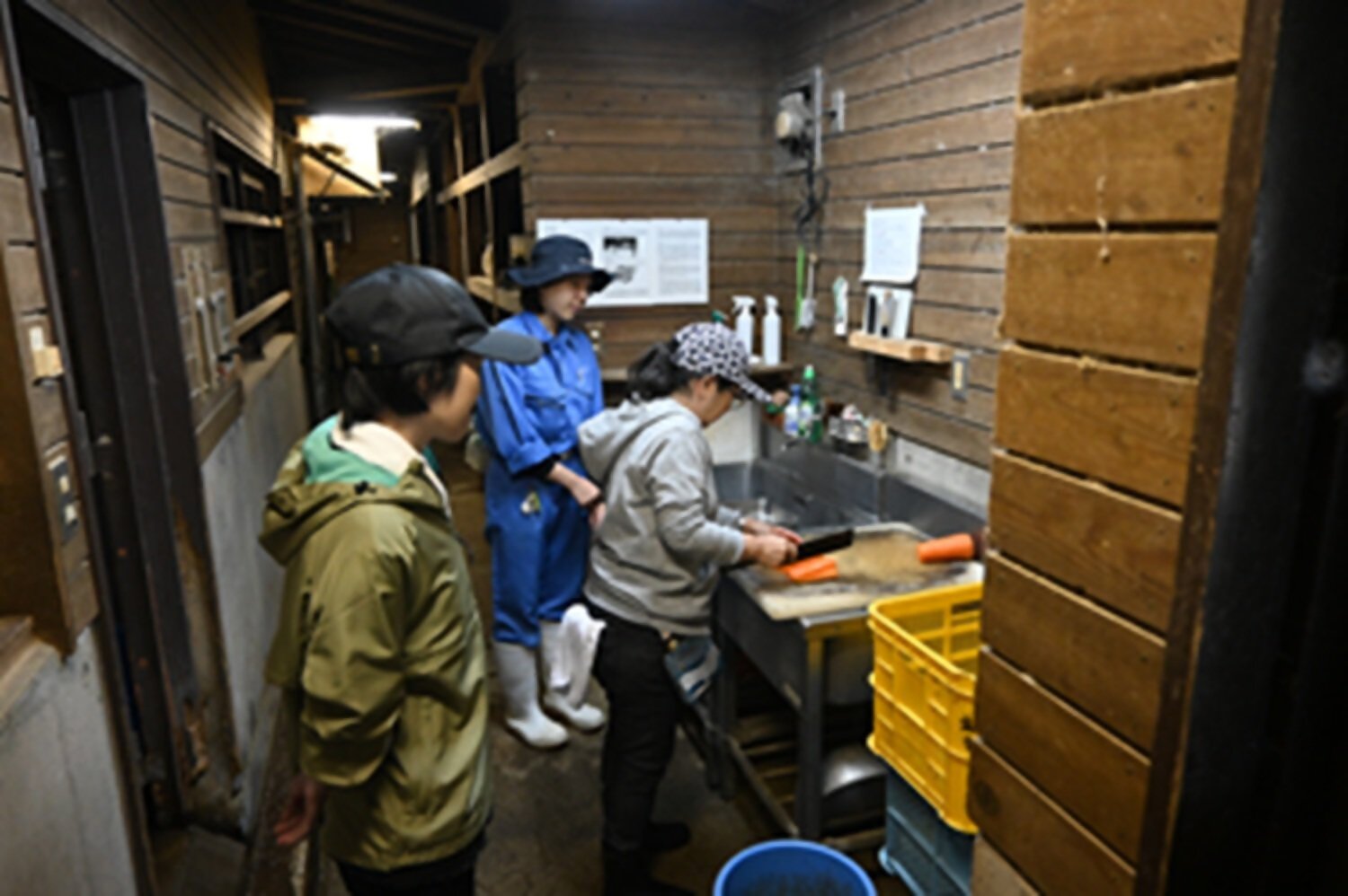 第25回とべ動物園社会人対象飼育実習の参加者を募集〈5/13~6/5〉