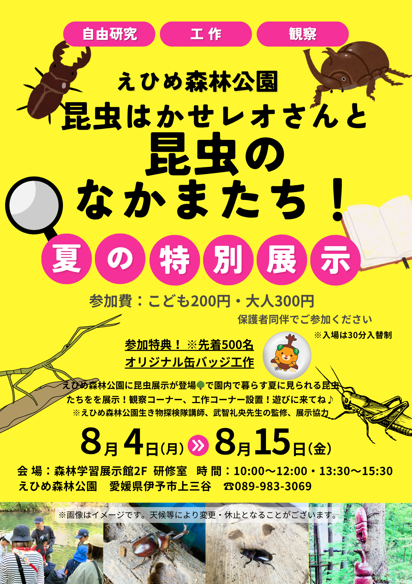 夏の昆虫展示「昆虫はかせレオさんと昆虫のなかまたち」