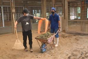 第24回とべ動物園高校生対象飼育実習の参加者を募集