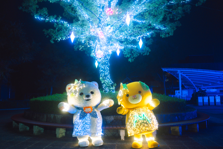 【とべ動物園】光煌めく幻想的な世界!とべZOOイルミネーション開催