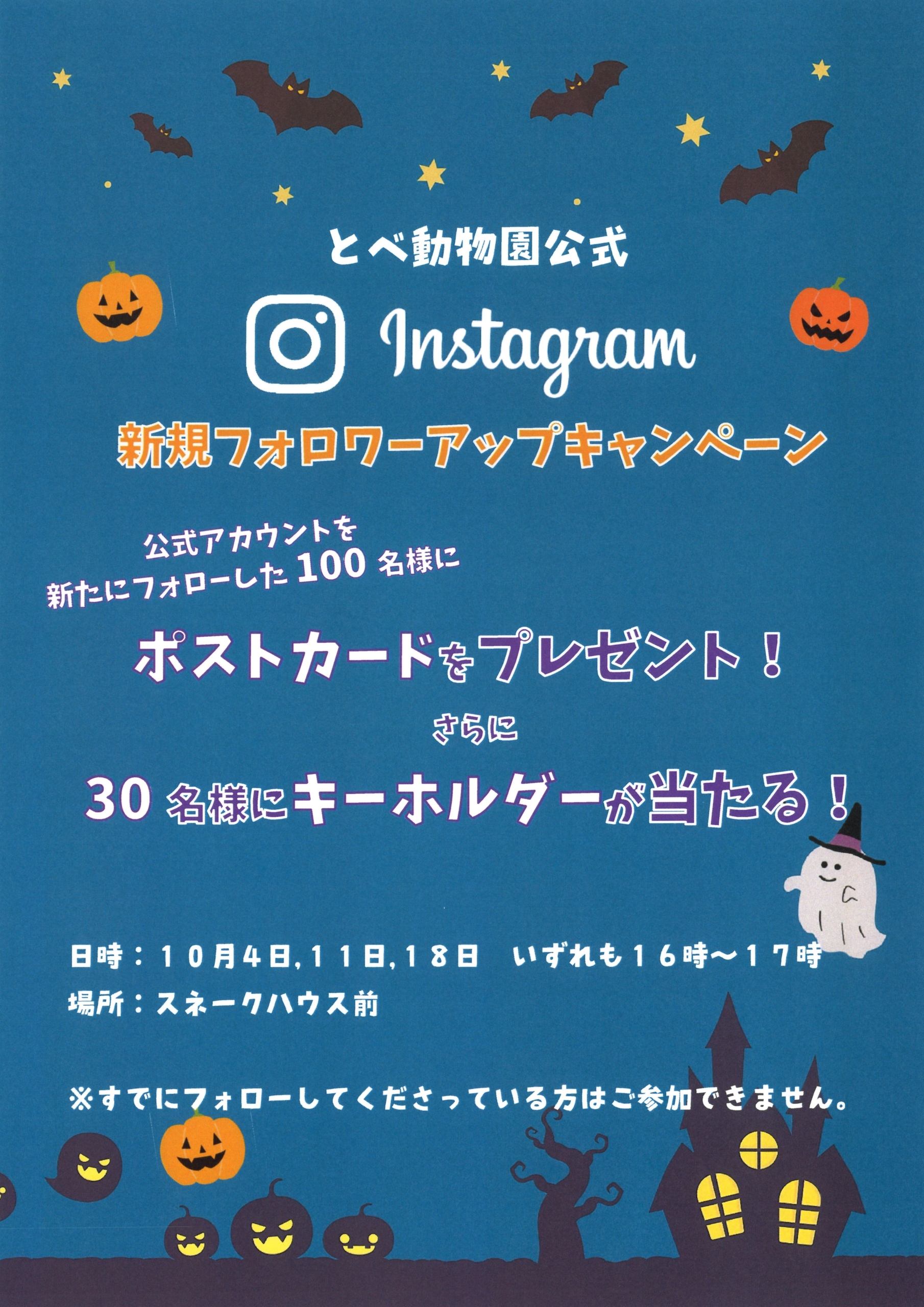 Instagram新規フォロワーアップキャンペーン