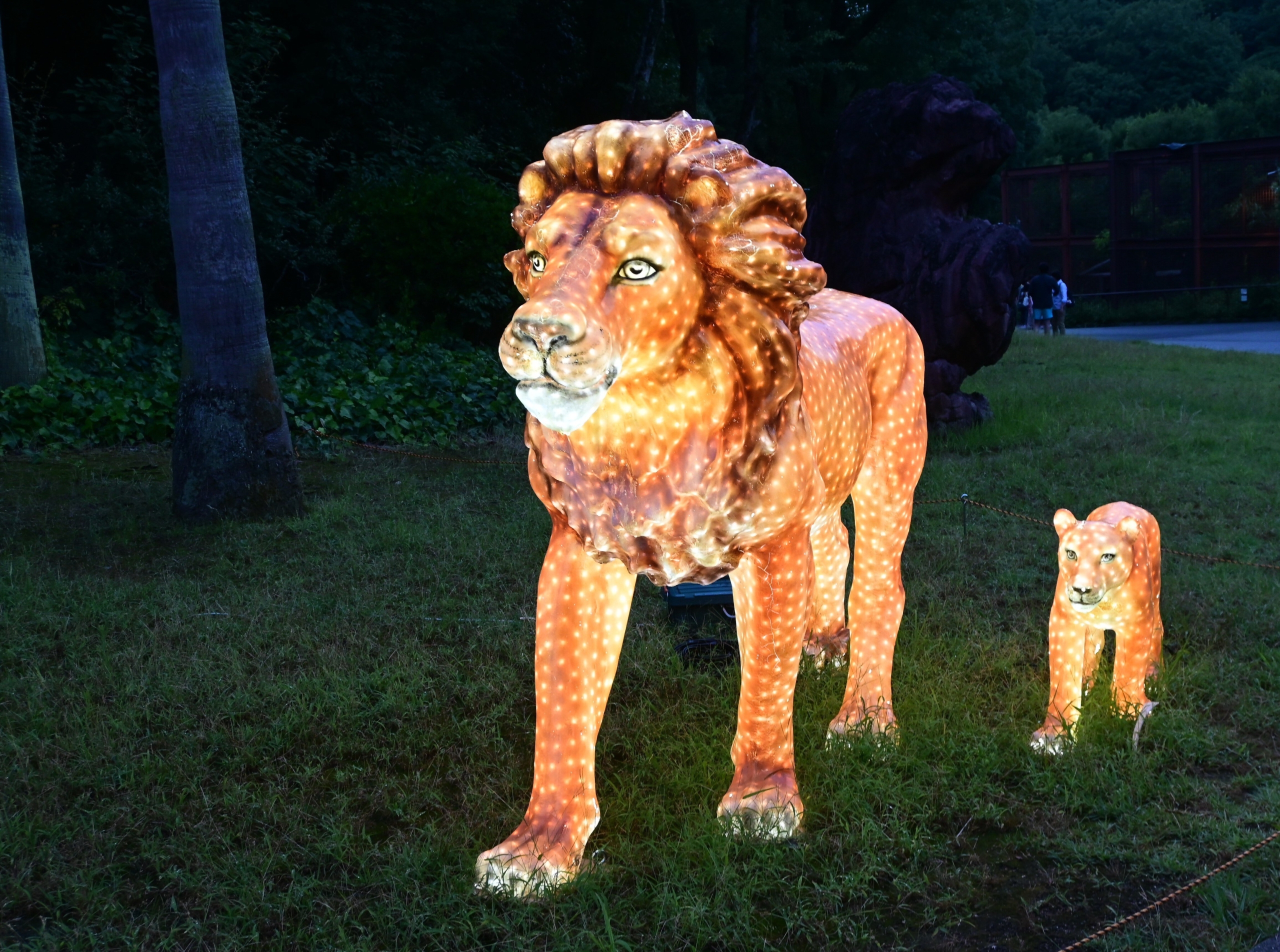 とべZOOイルミネーション