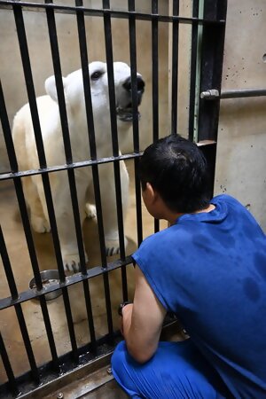 ピースフルタイム