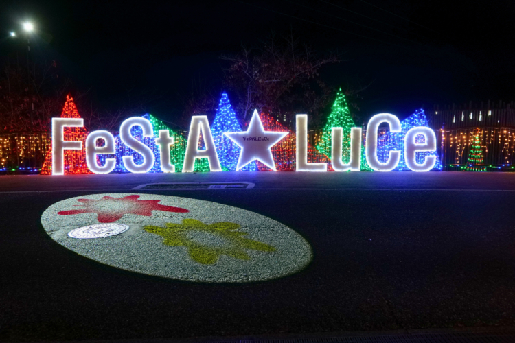 ＜終了＞幻想的なお城へようこそ！フェスタ・ルーチェinえひめこどもの城