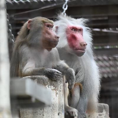 園内まったりお散歩 冬休み特別バージョン