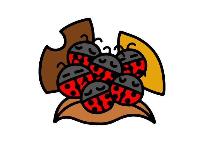 昆虫教室⑩「昆虫の冬越し」(事前募集)