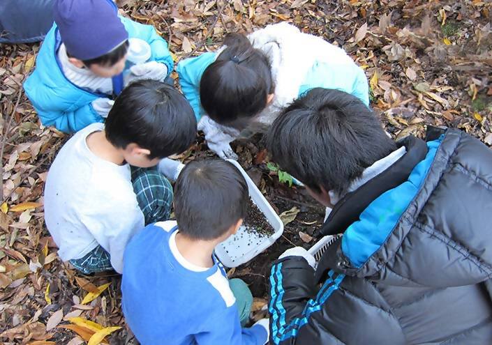昆虫教室⑪「昆虫のからだ」（事前募集）