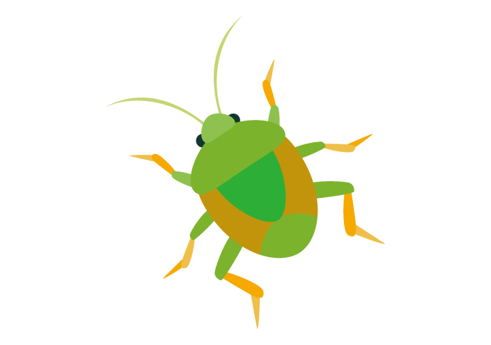 昆虫教室⑫「カメムシのヒミツ」（事前募集）