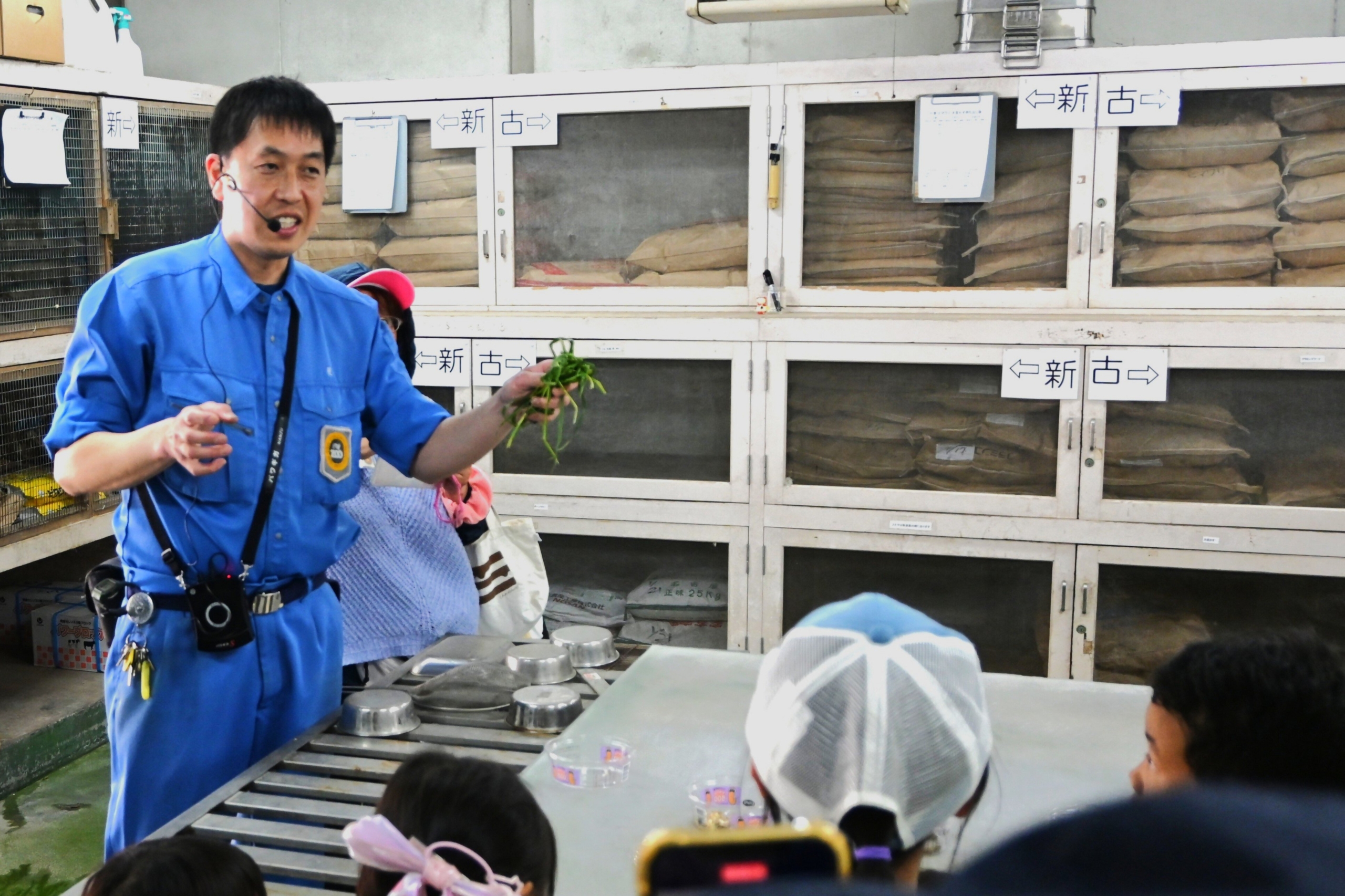 休園日の特別な動物園 TOkuBEZOOとくべずー　　【募集中】
