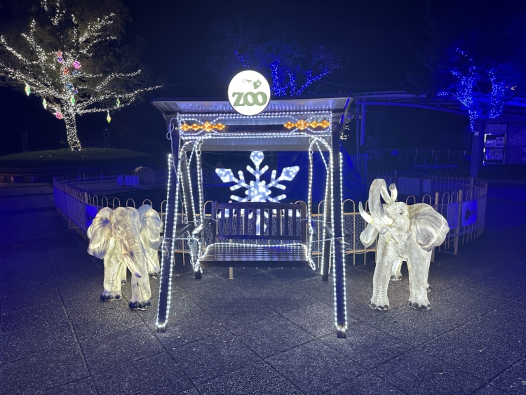 たくさんのご応募ありがとうございました！とべZOOイルミネーション2025フォトコンテスト結果発表